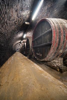 wooden barrels in old winery-stock-foto