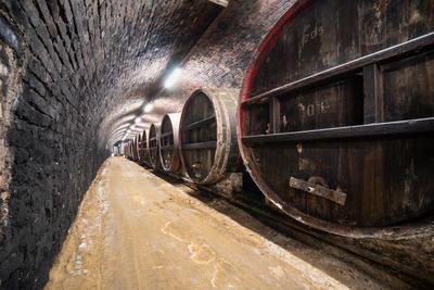 wooden barrels in old winery-stock-foto
