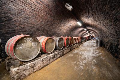 wooden barrels in old winery-stock-foto