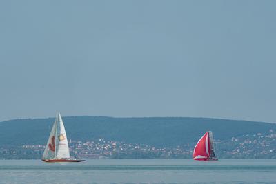 ZAMARDI - JULY 29 : Sailing boats compete on 52.nd Kékszalag championship at the Lake Balaton on 29 July 2020 in Zamardi, Hungary.-stock-foto