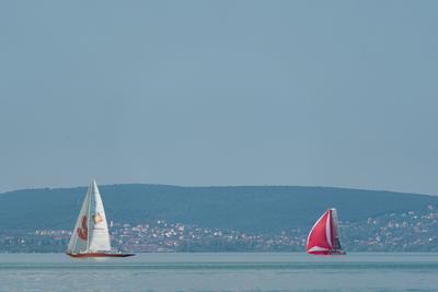 ZAMARDI - JULY 29 : Sailing boats compete on 52.nd Kékszalag championship at the Lake Balaton on 29 July 2020 in Zamardi, Hungary.-stock-photo