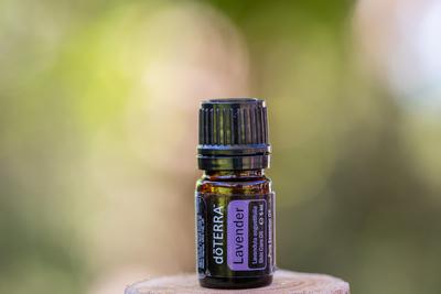 Pecs / Hungray - Aug 21 2020 - Illustrative editorial image of Doterra Essential  Oil for everyday use-stock-foto
