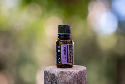Pecs / Hungray - Aug 21 2020 - Illustrative editorial image of Doterra Essential  Oil for everyday use-stock-foto