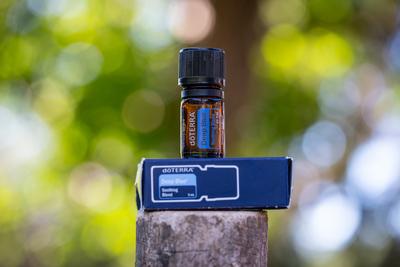 Pecs / Hungray - Aug 21 2020 - Illustrative editorial image of Doterra Essential  Oil for everyday use-stock-foto