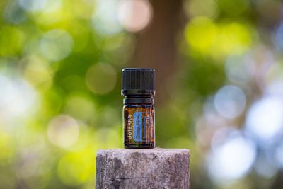 Pecs / Hungray - Aug 21 2020 - Illustrative editorial image of Doterra Essential  Oil for everyday use-stock-foto
