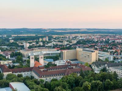 Bird eye view: Pecs, Pius church and university city-stock-foto