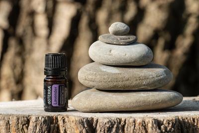 Pecs / Hungray - Sept 19 2020 - Illustrative editorial image of Doterra Essential  Oil for everyday use-stock-foto