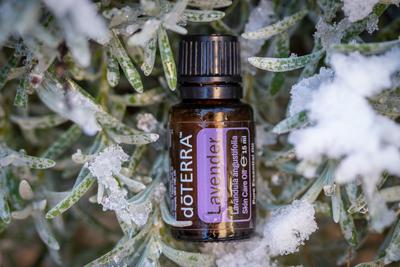 Pecs, Hungray - Jan 25 2021 - Illustrative editorial image of Doterra Essential Oils for everyday use-stock-foto