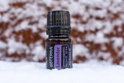 Pecs, Hungray - Jan 25 2021 - Illustrative editorial image of Doterra Essential Oils for everyday use-stock-foto