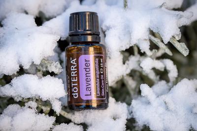 Pecs, Hungray - Jan 25 2021 - Illustrative editorial image of Doterra Essential Oils for everyday use-stock-foto
