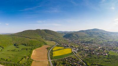 yellow canola field with Mecsek Hills-stock-foto