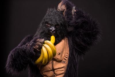 gorilla in studio with  banana-stock-foto
