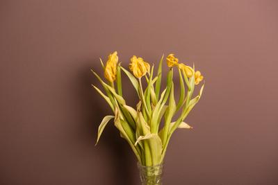 Wilted bouquet of yellow tulips-stock-foto