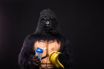 gorilla in studio with shaker and banana-stock-foto