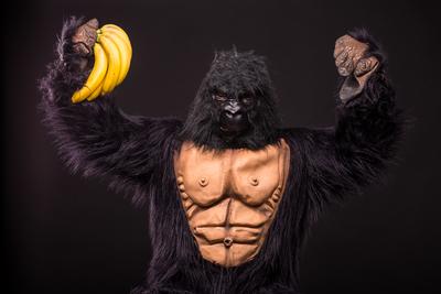 gorilla in studio with  banana-stock-foto