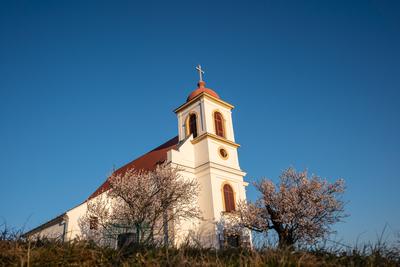 Small chapel with almond tree, called havas boldogasszony templom-stock-photo