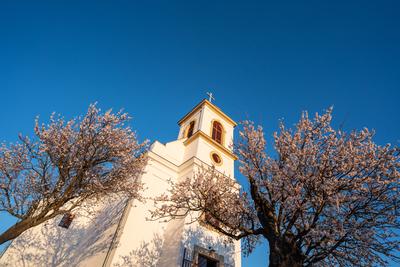 Small chapel with almond tree, called havas boldogasszony templom-stock-photo