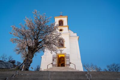 Small chapel with almond tree, called havas boldogasszony templom-stock-photo