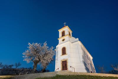 Small chapel with almond tree, called havas boldogasszony templom-stock-photo