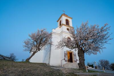 Small chapel with almond tree, called havas boldogasszony templom-stock-foto