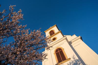 Small chapel with almond tree, called havas boldogasszony templom-stock-foto