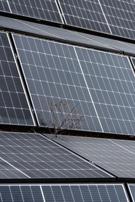 solar panels for alternative energy-stock-photo