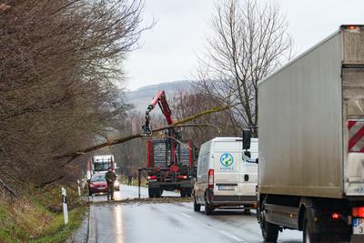 BOSZENFA, HUNGARY - JANUARY 10 2023: Fallen tree blocked the road and   caused congestion on the road Boszenfa. January 10 2023 Boszenfa, Hungary-stock-photo