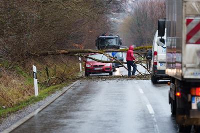 BOSZENFA, HUNGARY - JANUARY 10 2023: Fallen tree blocked the road and   caused congestion on the road Boszenfa. January 10 2023 Boszenfa, Hungary-stock-photo