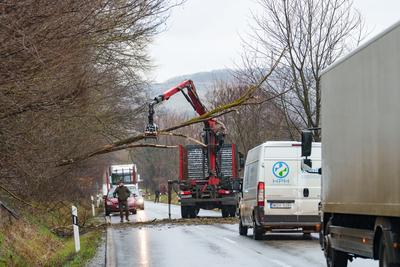 BOSZENFA, HUNGARY - JANUARY 10 2023: Fallen tree blocked the road and   caused congestion on the road Boszenfa. January 10 2023 Boszenfa, Hungary-stock-photo