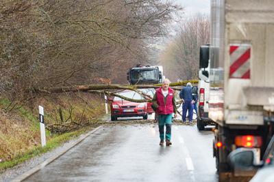 BOSZENFA, HUNGARY - JANUARY 10 2023: Fallen tree blocked the road and   caused congestion on the road Boszenfa. January 10 2023 Boszenfa, Hungary-stock-photo