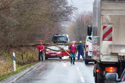 BOSZENFA, HUNGARY - JANUARY 10 2023: Fallen tree blocked the road and   caused congestion on the road Boszenfa. January 10 2023 Boszenfa, Hungary-stock-photo