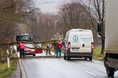 BOSZENFA, HUNGARY - JANUARY 10 2023: Fallen tree blocked the road and   caused congestion on the road Boszenfa. January 10 2023 Boszenfa, Hungary-stock-photo