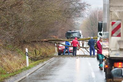 BOSZENFA, HUNGARY - JANUARY 10 2023: Fallen tree blocked the road and   caused congestion on the road Boszenfa. January 10 2023 Boszenfa, Hungary-stock-photo