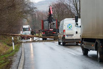 BOSZENFA, HUNGARY - JANUARY 10 2023: Fallen tree blocked the road and   caused congestion on the road Boszenfa. January 10 2023 Boszenfa, Hungary-stock-photo