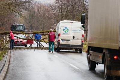 BOSZENFA, HUNGARY - JANUARY 10 2023: Fallen tree blocked the road and   caused congestion on the road Boszenfa. January 10 2023 Boszenfa, Hungary-stock-photo