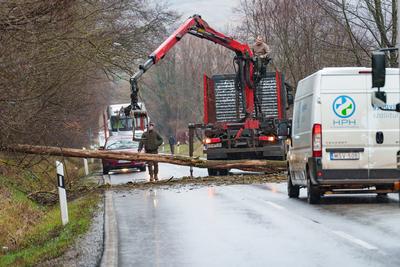 BOSZENFA, HUNGARY - JANUARY 10 2023: Fallen tree blocked the road and   caused congestion on the road Boszenfa. January 10 2023 Boszenfa, Hungary-stock-photo