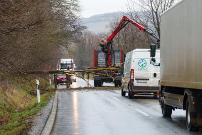 BOSZENFA, HUNGARY - JANUARY 10 2023: Fallen tree blocked the road and   caused congestion on the road Boszenfa. January 10 2023 Boszenfa, Hungary-stock-photo