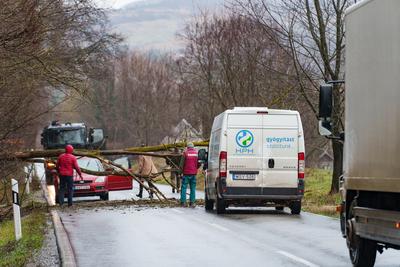 BOSZENFA, HUNGARY - JANUARY 10 2023: Fallen tree blocked the road and   caused congestion on the road Boszenfa. January 10 2023 Boszenfa, Hungary-stock-photo