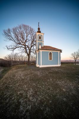 Small chapel with huge tree, called in Hungary Mausz Kapolna-stock-photo
