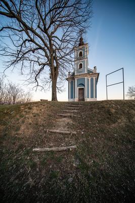 Small chapel with huge tree, called in Hungary Mausz Kapolna-stock-photo