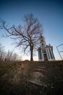 Small chapel with huge tree, called in Hungary Mausz Kapolna-stock-photo