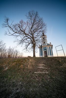 Small chapel with huge tree, called in Hungary Mausz Kapolna-stock-photo