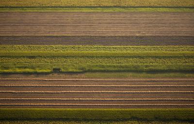 Szántóföld-stock-foto