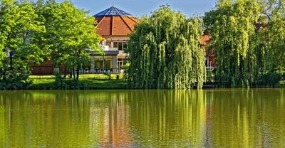 Nyíregyháza, Aquarius gyógyfürdő, fűzfák és a Sóstó-stock-foto