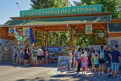 Nyíregyháza, Sóstó Állatpark bejárója-stock-foto