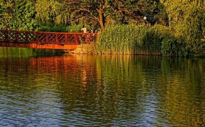 Nyíregyháza, Sóstó fotózás a hídon naplementekor-stock-foto