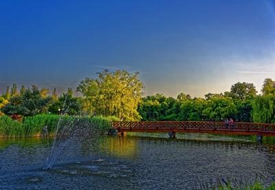Nyíregyháza, Sóstóban szökőkút és híd naplementekor-stock-foto