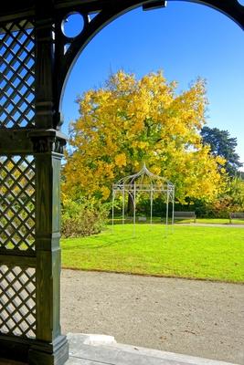 Erzsébet királyné elôkertjét és Erzsébet verandáját, mely egykoron a királyné személyes használatú, hangulatosvirágoskertje és romantikus terasza volt, 2010 nyarától a kastély különleges kültéri helyszíneként ajánljuk, különös-stock-foto