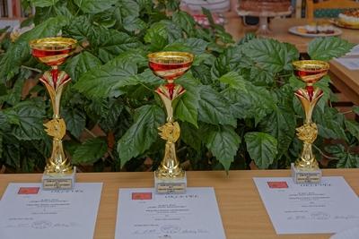 Som község sütiverseny kupái meg oklevelei-stock-foto