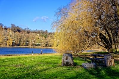 Horgászok a duna mellékfolyó partján, grillhelység a fűzfa alatt-stock-foto